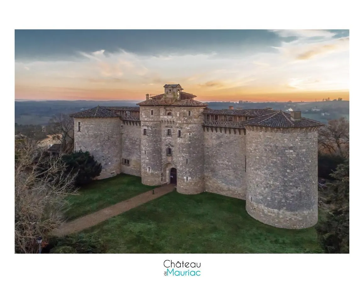 Chateau De Mauriac Senouillac 4*,